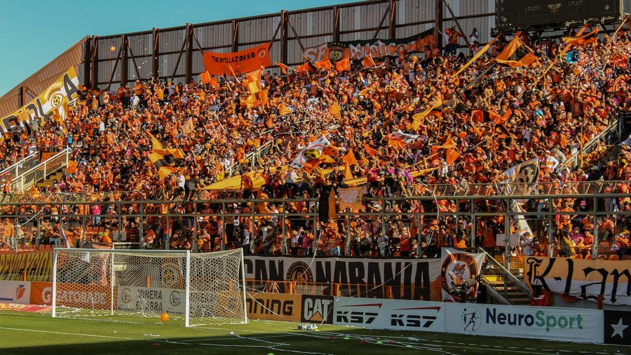 九游体育 APP — 营业执照与资质公示示意配图